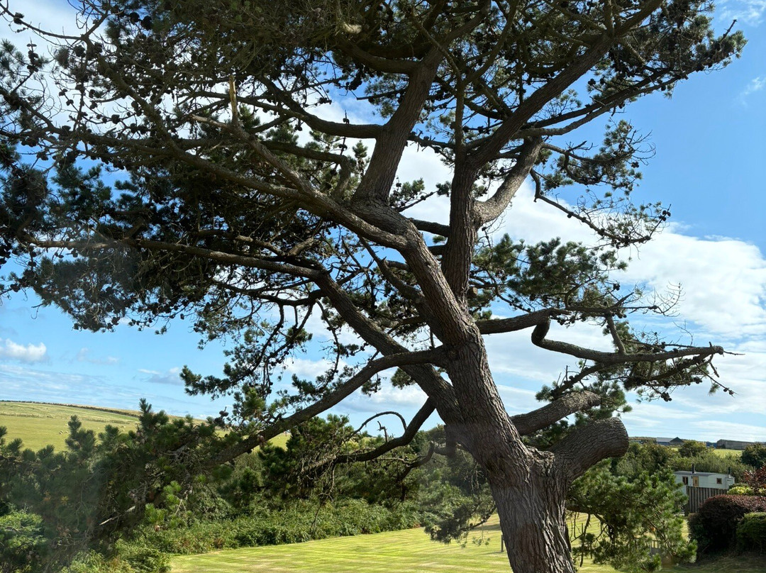 Porth Tocyn Hotel主图