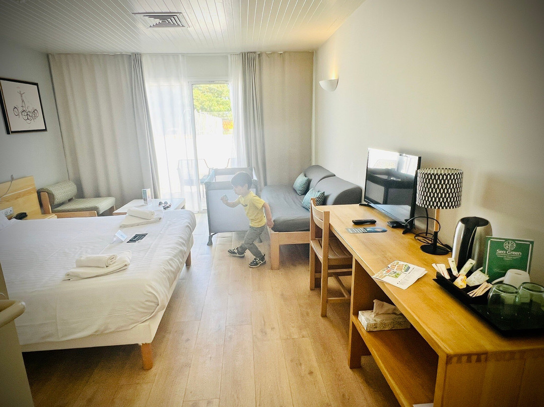 Hôtel Les Grenettes主图