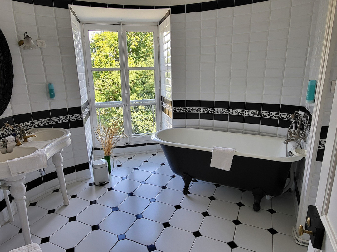 Château de Blet主图