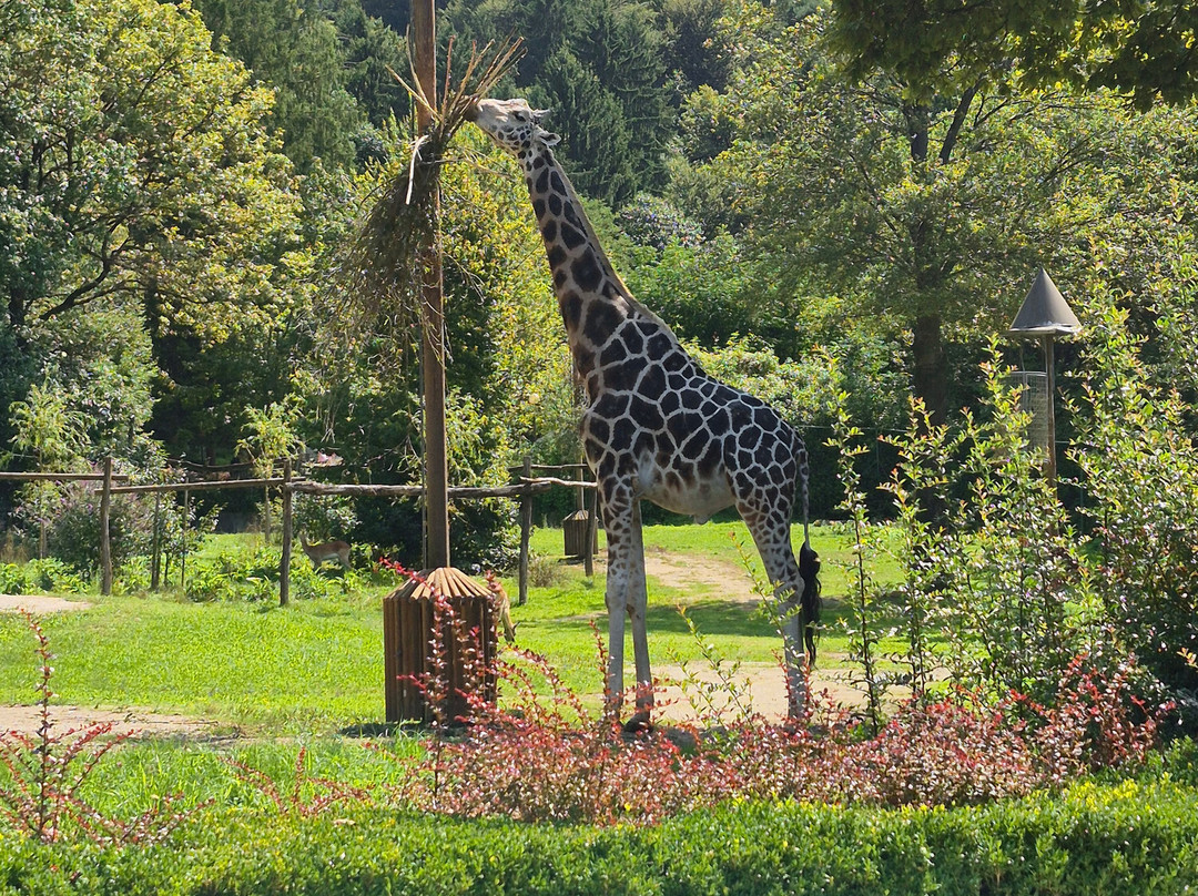 ZOO Ljubljana-卢布尔雅那必去景点
