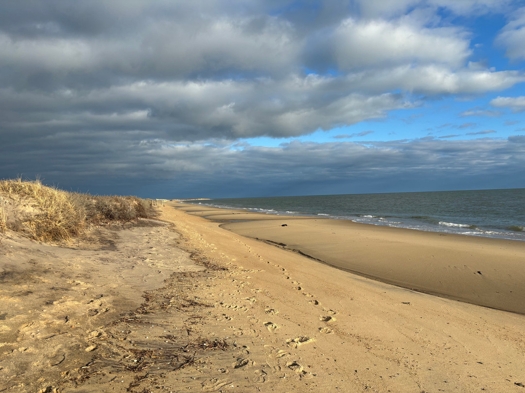 South Cape Beach State Park-Mashpee必去景点