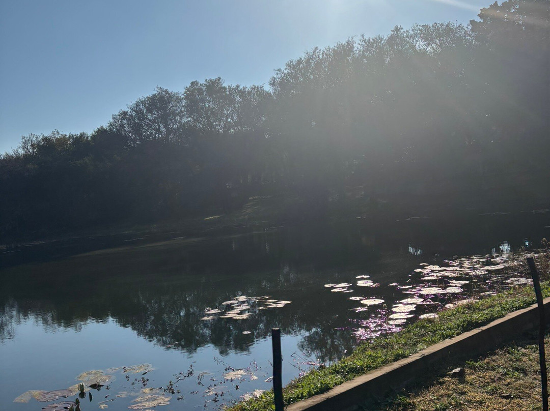 Summerset Place Country House主图