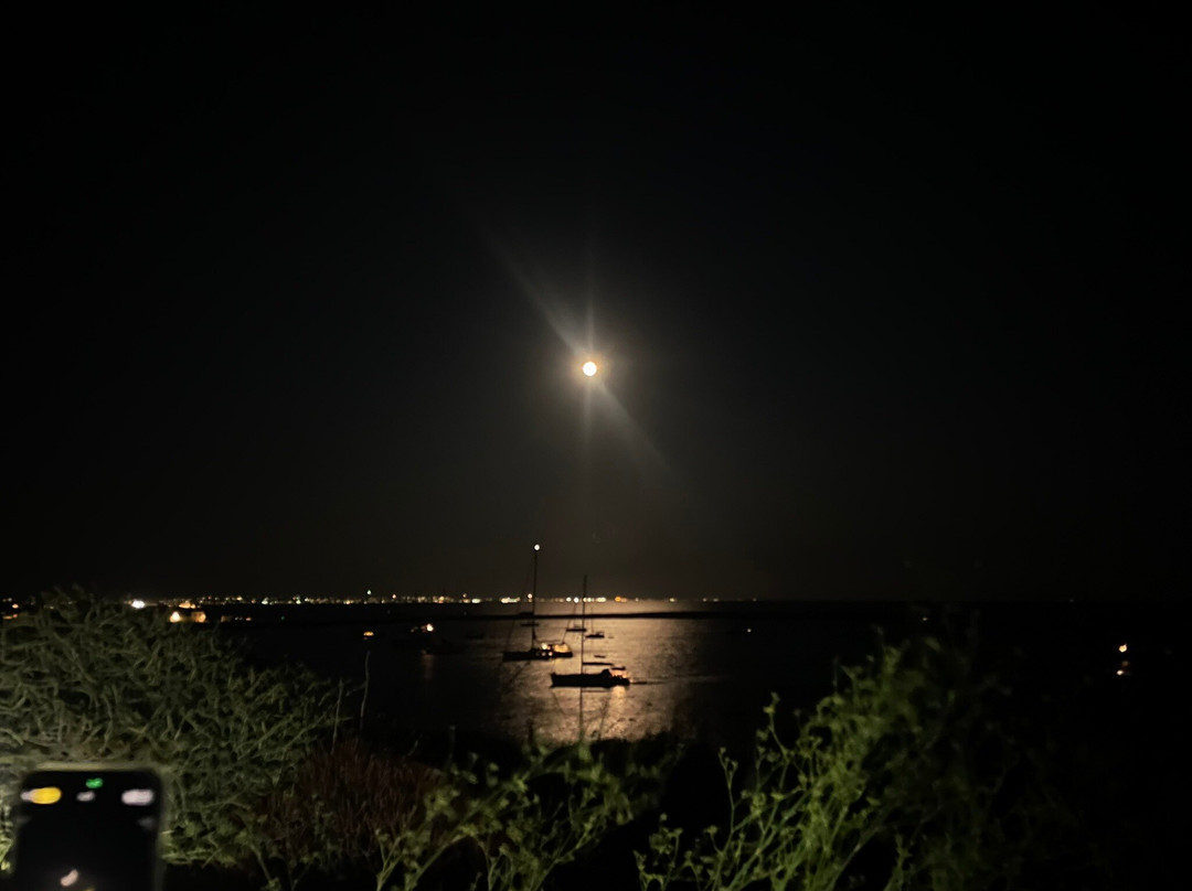RISTORANTE isola - MANGIÀRI