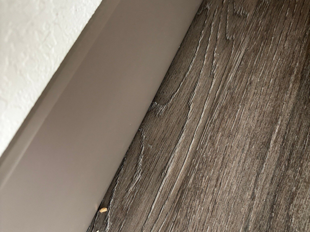 芝加哥 Tinley 公园会展中心假日酒店主图