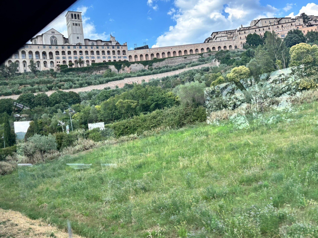 波尔塔努欧瓦酒店主图