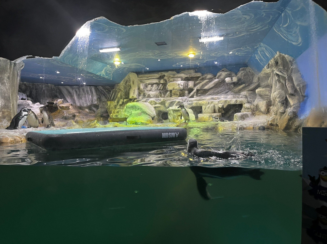 Tropicarium Park-Lido di Jesolo必去景点