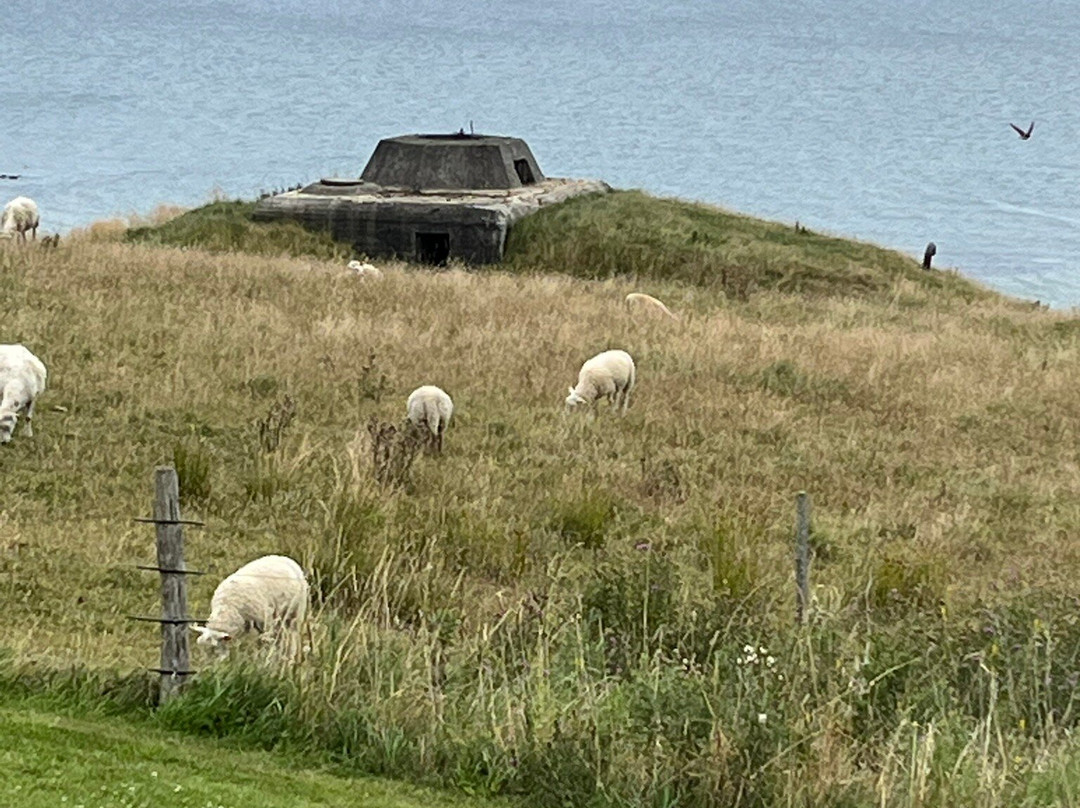 The Coastal Museum Bangsbo Fort-腓特烈港必去景点