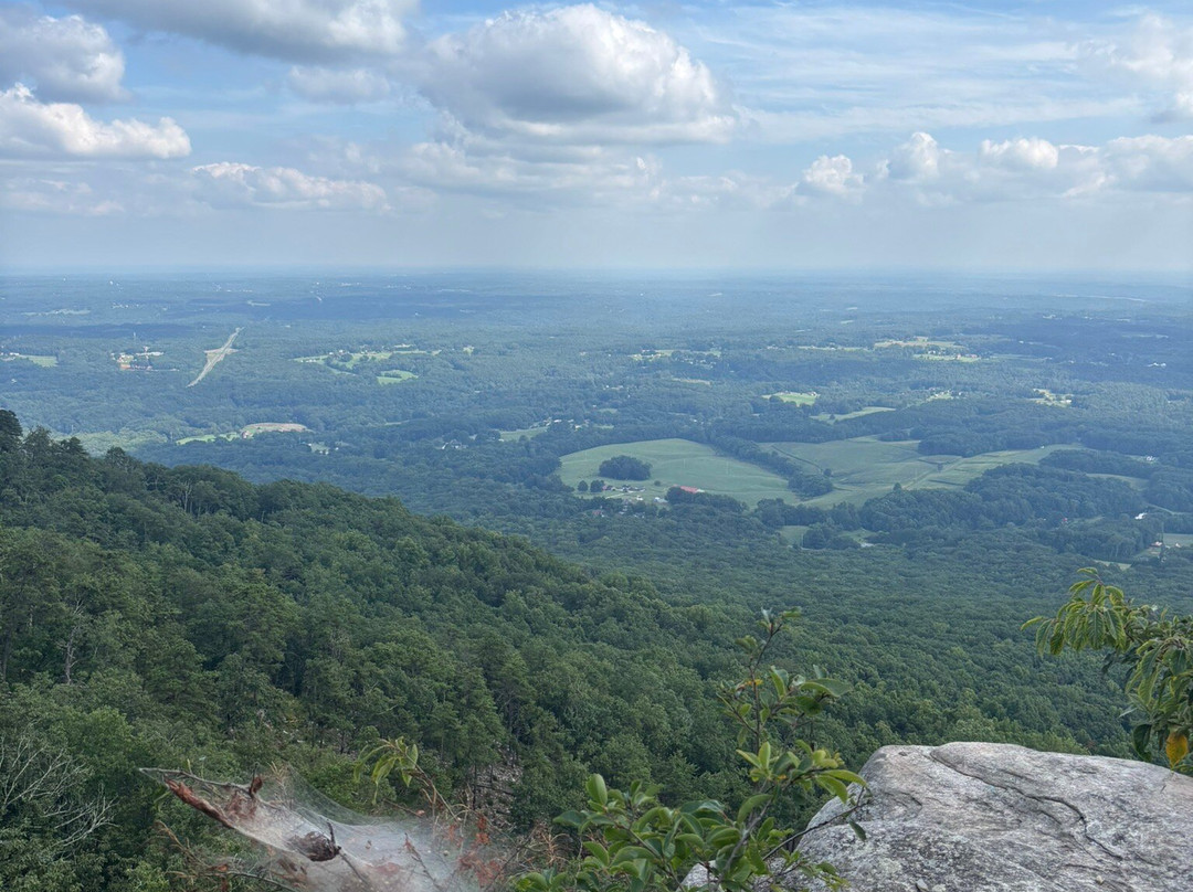 Pilot Knob Inn主图