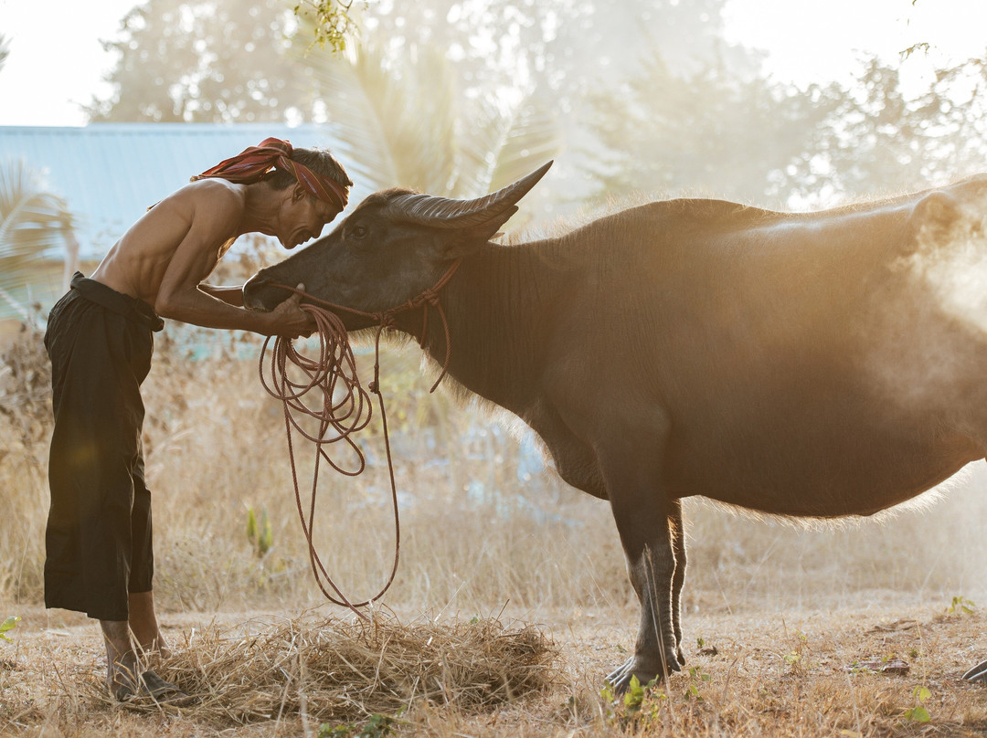 Authentic Vietnam by Natalie