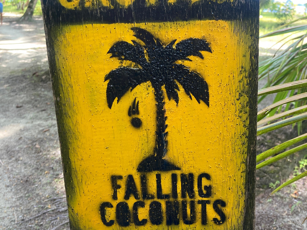 Nirvana Diving-Singkil必去景点