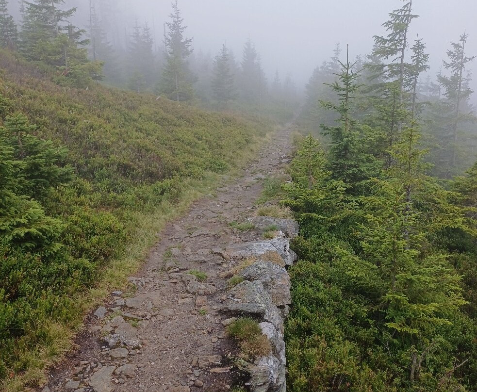 Hotel Friesovy Boudy主图