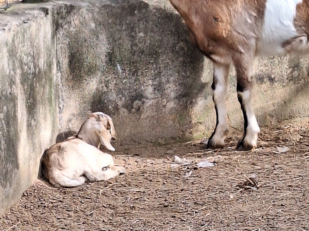 Hotel Fazenda Terra Dos Sonhos主图