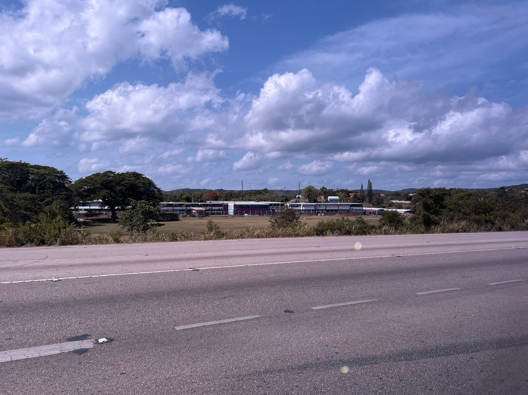 Fun Tours Jamaica Limited-蒙特戈贝必去景点