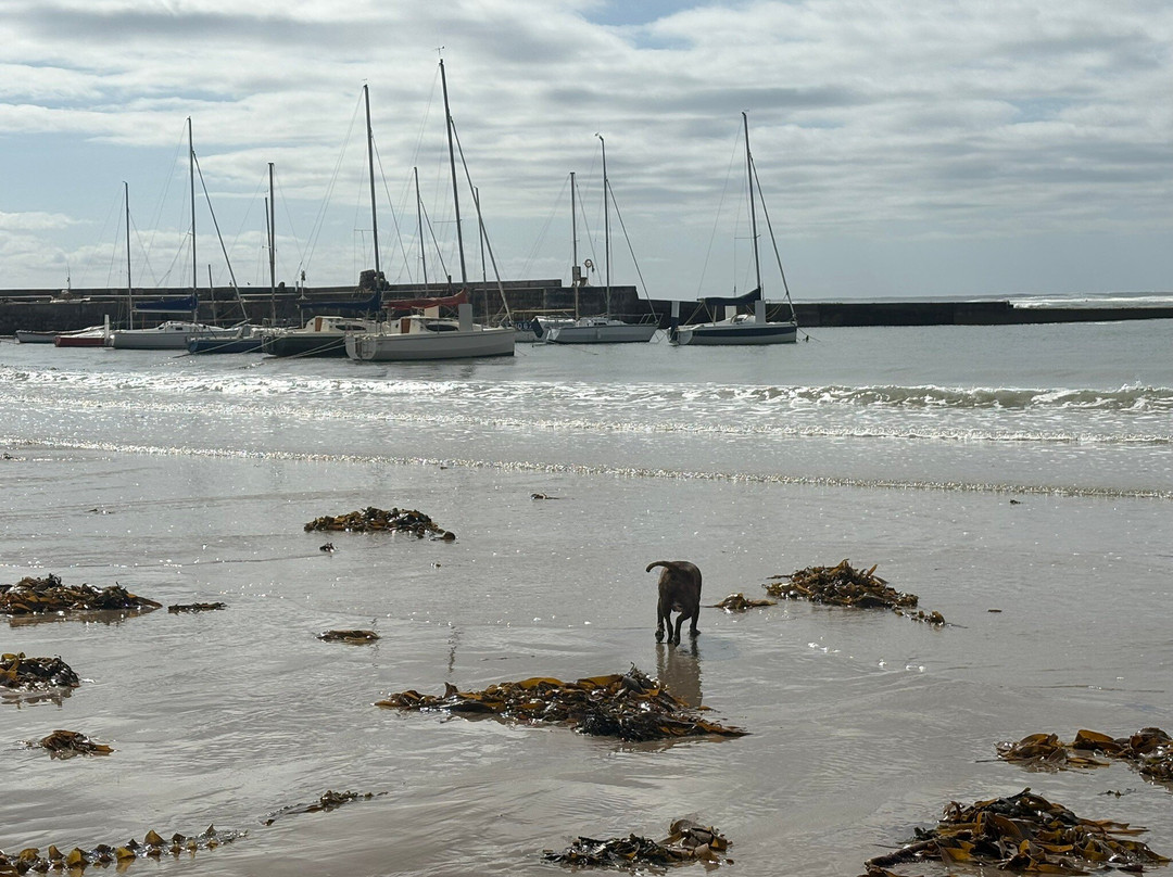 Beadnell Bay Beach-Beadnell必去景点