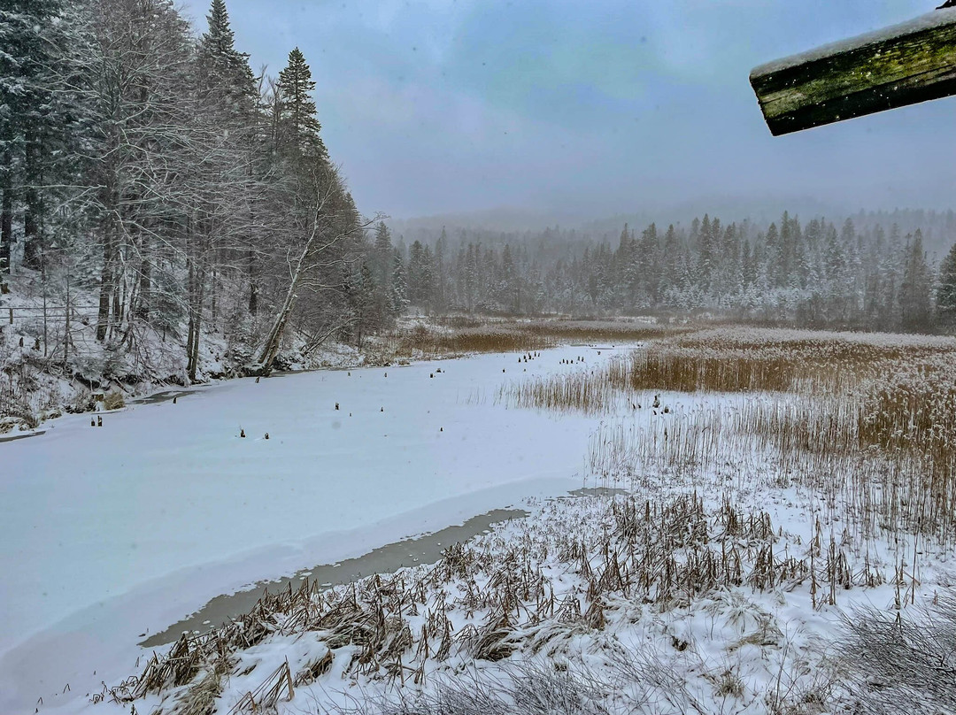 Jeziorka Bobrowe - Platforma Widokowa-Baligrod必去景点