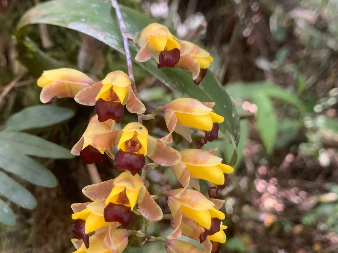 Parque Ecologico Imigrantes-圣贝尔纳多-杜坎普必去景点