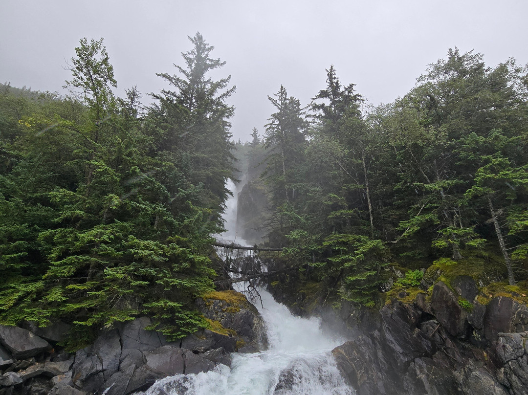 Glacier Point Wilderness Safari-史凯威必去景点