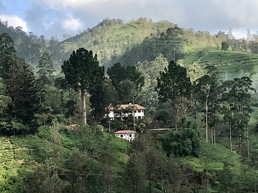 总督府酒店主图