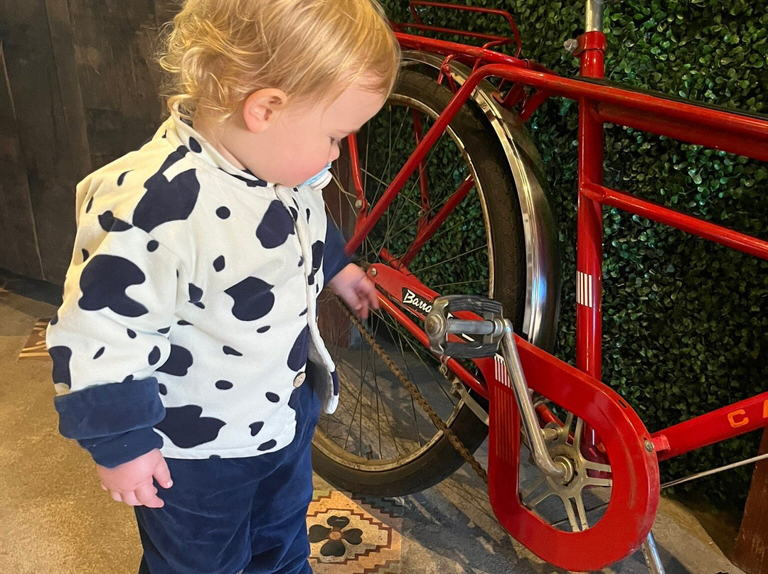 Organovita Familia Orgânica-Garibaldi必去景点