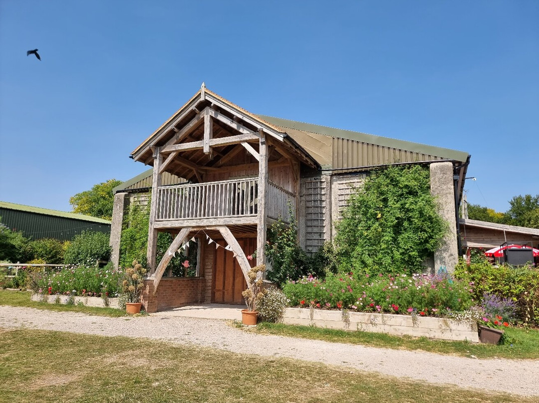 Cholderton Rare Breeds Farm-Cholderton必去景点