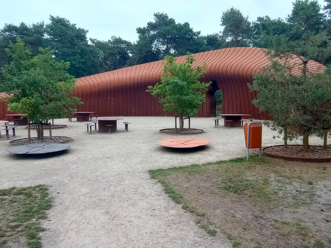Lommel Bosland Nationaal Park