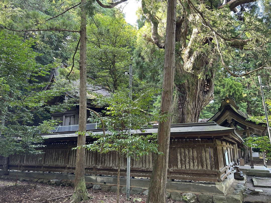 Wakasahime Shrine-小滨市必去景点
