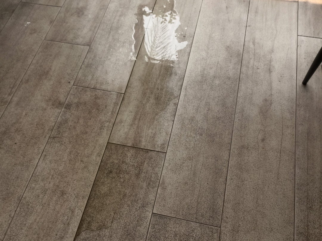 Camping Caledonia主图