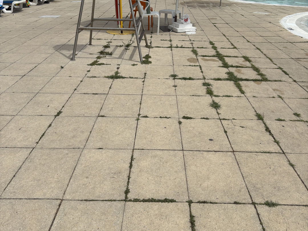 Complexo Desportivo Principe Perfeito-维塞乌必去景点