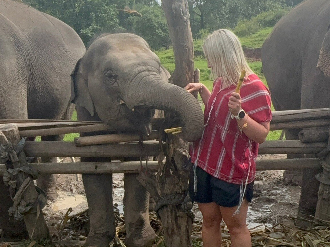 Elephant Pride Sanctuary-清迈必去景点