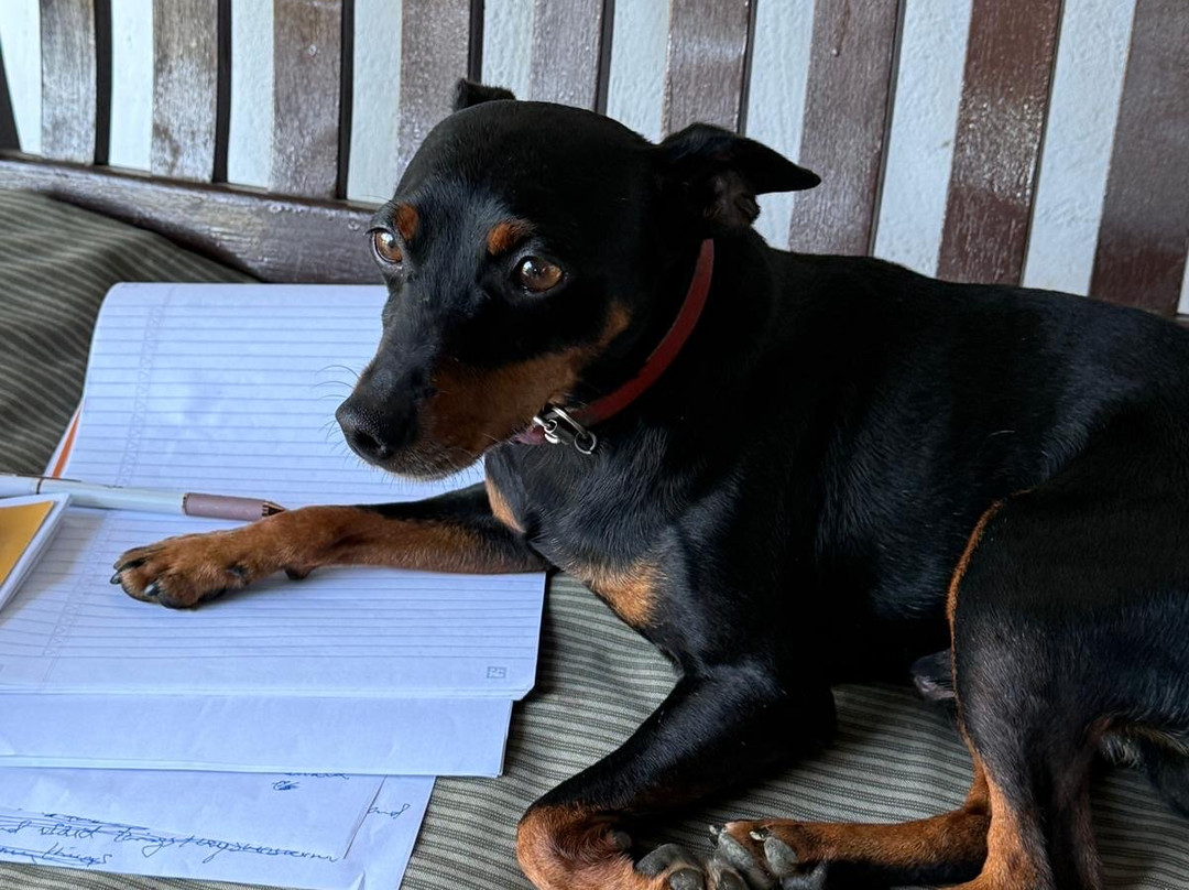 Pyrenean Writing Retreats-Ituren必去景点