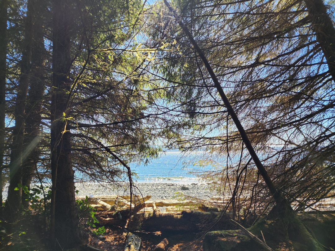 Pulteney Point Lighthouse-Malcolm Island必去景点