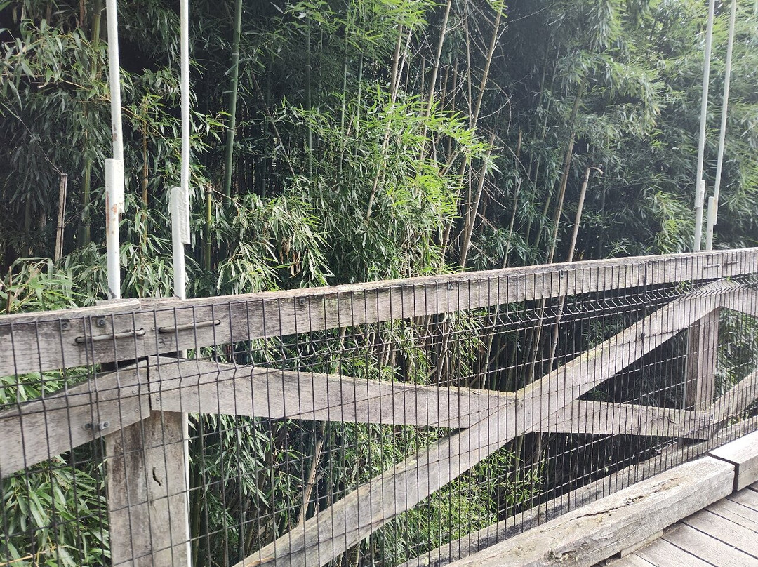 Pauley Bridge-Pikeville必去景点