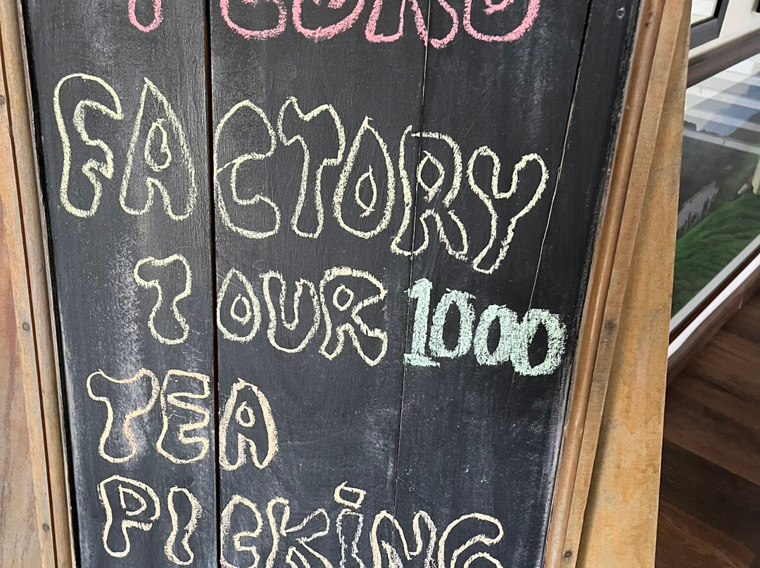 佩德罗茶工厂-奴娃拉伊利雅必去景点