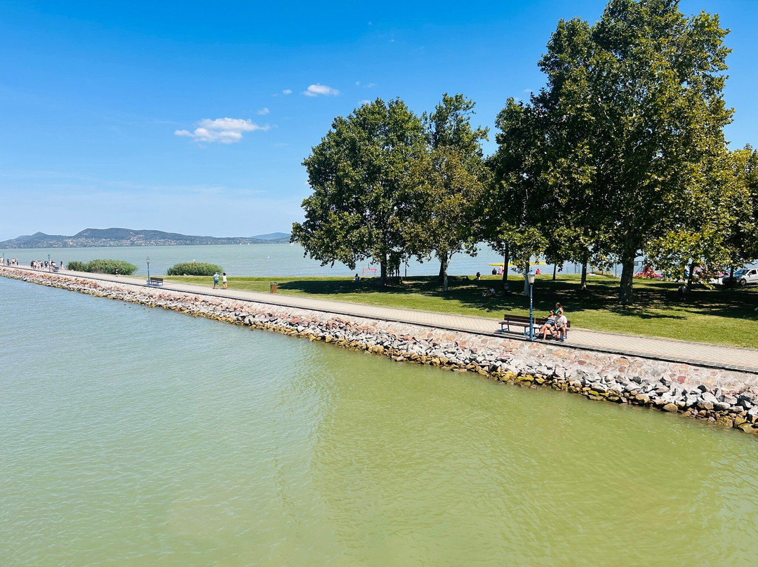 Hotel Bonvino Wine and Spa Badacsony主图