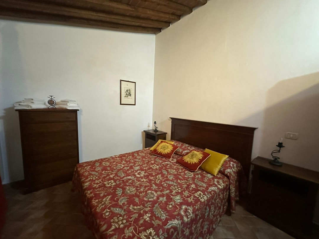 Poggio al Palio主图