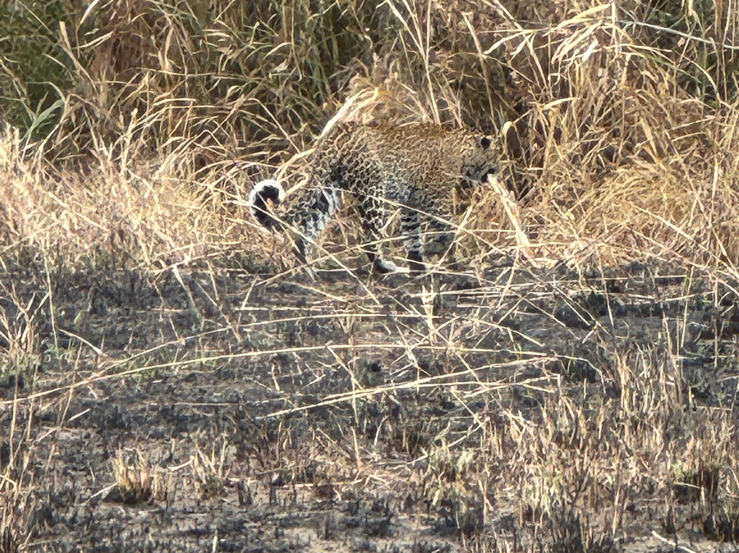 Mikumi National Park