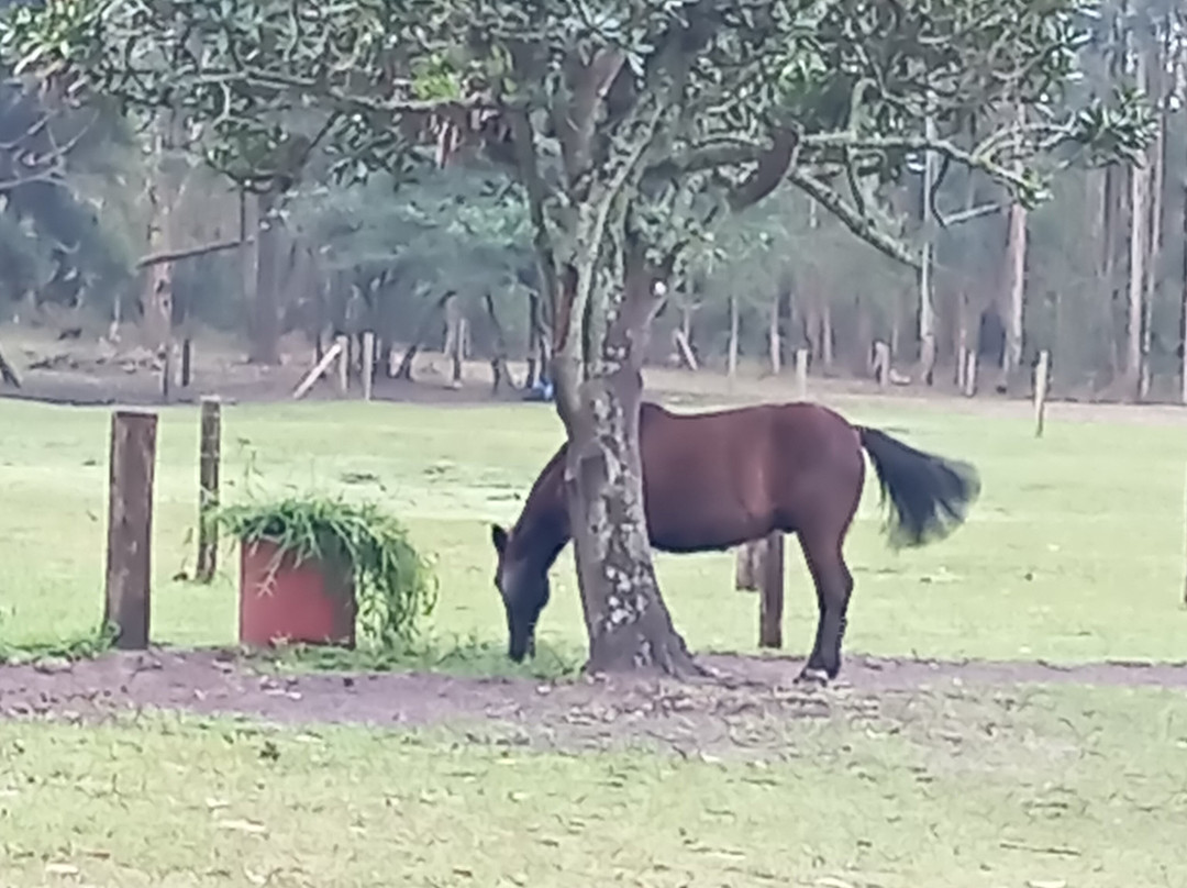 Acqua Lokos Parque Hotel-Capao da Canoa必去景点
