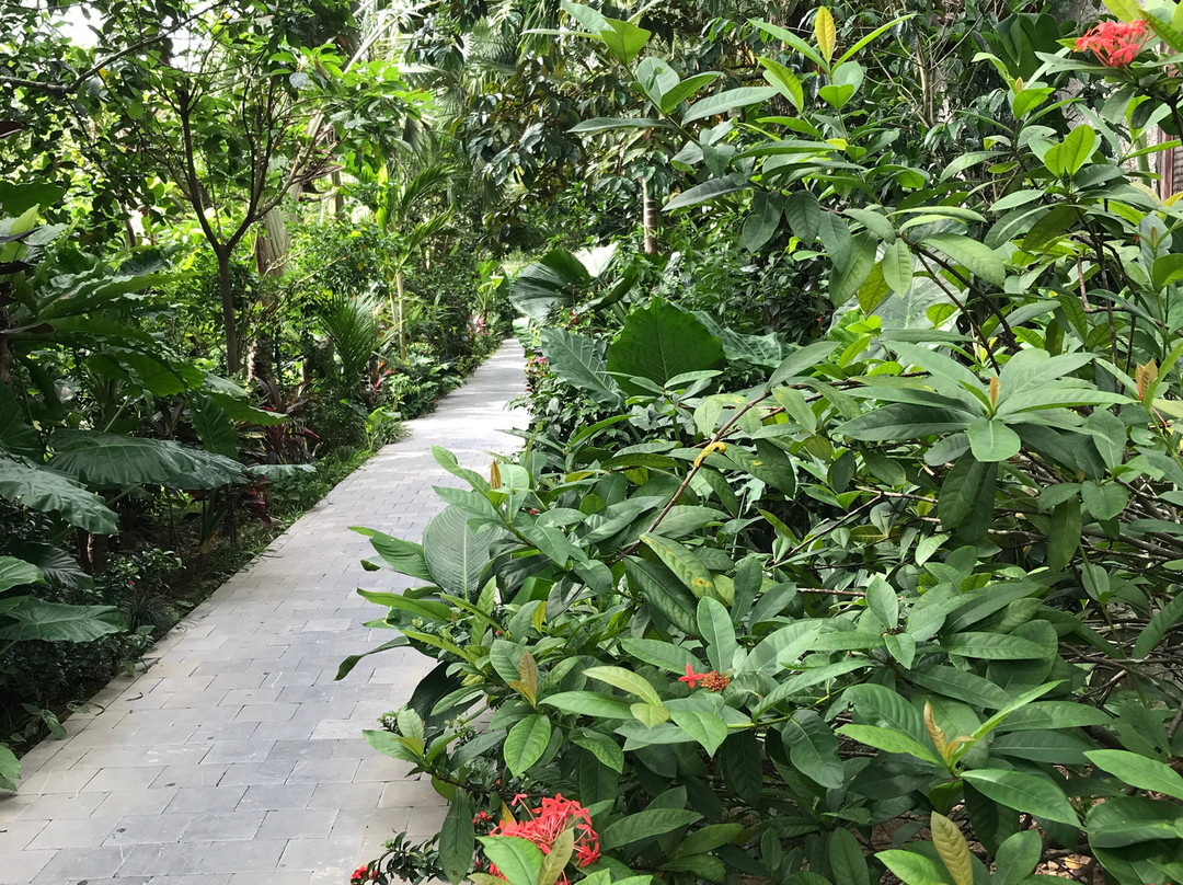 Nham Village Resort主图