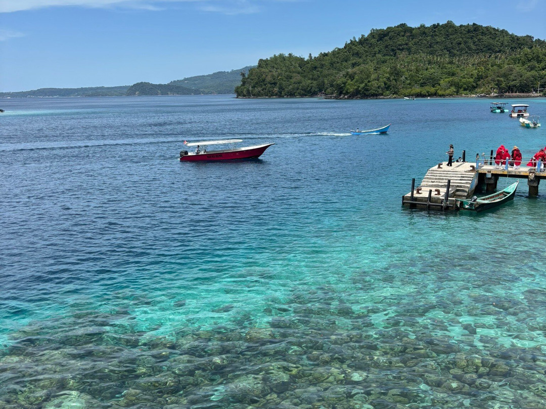 Eric's Greenhouse主图