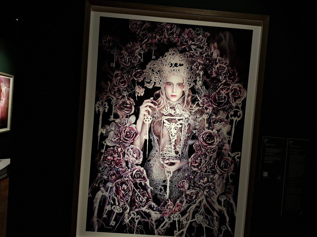 Falsterbo Photo Art Museum-Falsterbo必去景点