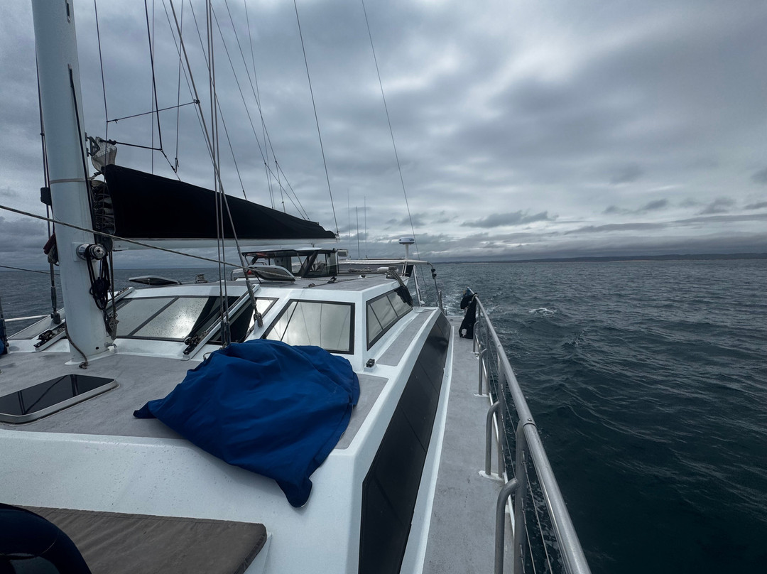 Ningaloo Discovery-埃克斯茅斯必去景点