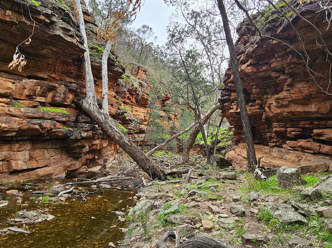 Alligator Gorge-Wilmington必去景点