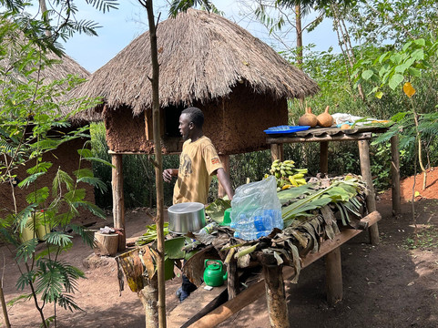 Gorilla Tours-坎帕拉必去景点