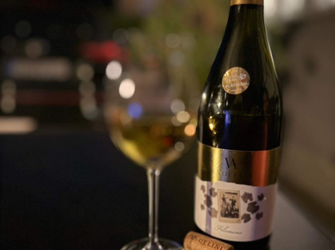 Anđelini Winery-Pazin必去景点