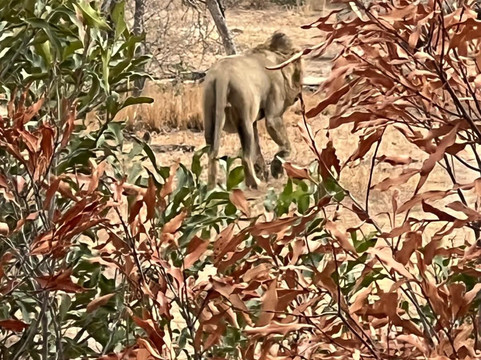 Ashridge Safaris & Guesthouse-雾观必去景点