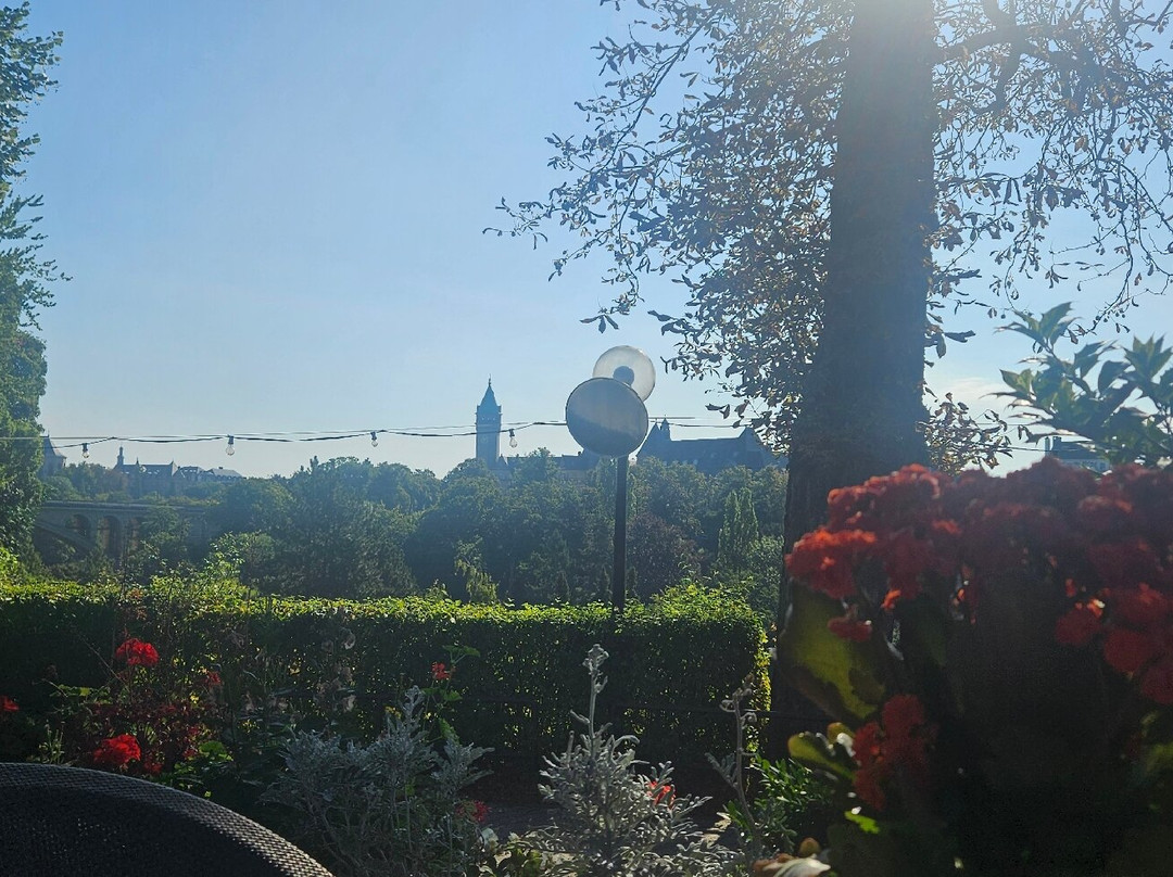 卢森堡高瑞斯集团主图