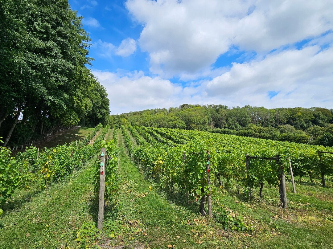 Godstone Vineyards-Godstone必去景点