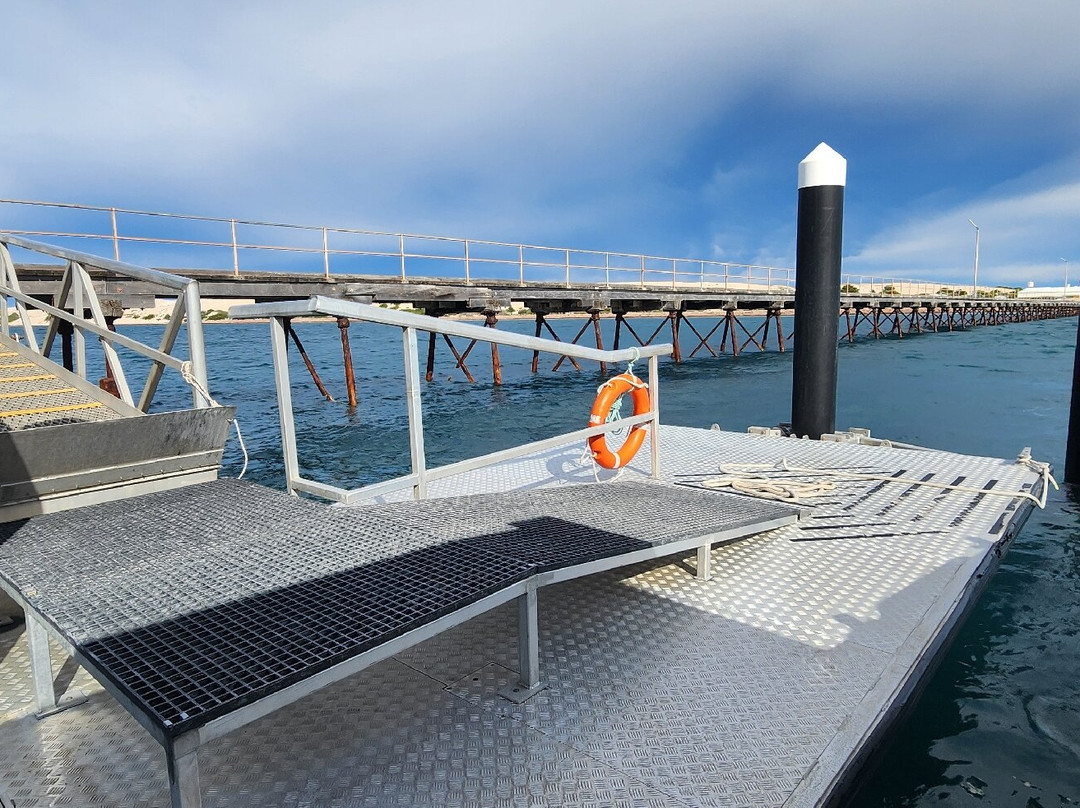 EP Cruises-Fowlers Bay必去景点