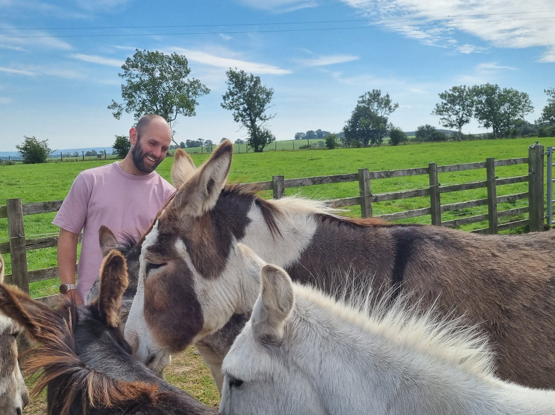 Barnhill Donkeys Retreat Sleagill-Sleagill必去景点
