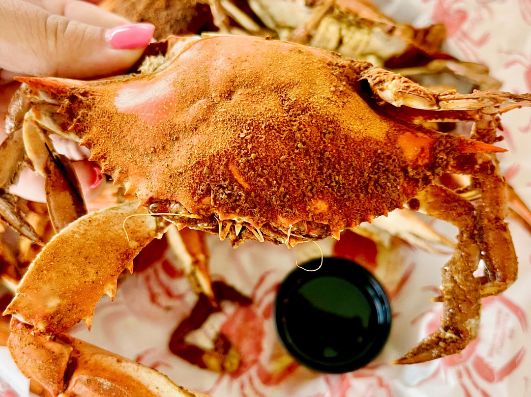 Wylder Hotel Tilghman Island主图